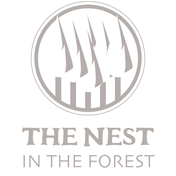 THE NEST IN THE FOREST Logo